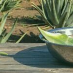 Métodos naturales para reducir el colesterol efectivamente