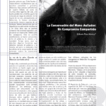 Monos al borde de la extinción urgente protección requerida