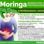 Moringa: usos formas de consumo y precauciones importantes