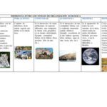 Niveles de organización ecológica: conceptos y ejemplos clave