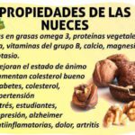 Nueces: beneficios propiedades y posibles contraindicaciones