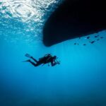 Oceanografía: Conceptos esenciales y su relevancia en el mundo