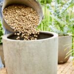Optimizando el drenaje en macetas para plantas saludables