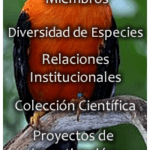 Ornitología: definición y áreas de estudio