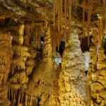 Paleoclimatología: su significado y relevancia en el clima actual