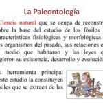 Paleoecología: definición características y su relevancia científica