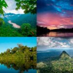 Parques naturales: significado y relevancia para el medio ambiente