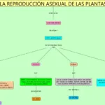 Partenogénesis: Definición y ejemplos ilustrativos
