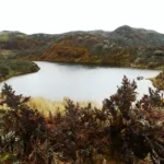 Patrimonio natural de las áreas protegidas en Ecuador