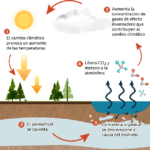 Permafrost: características ubicación y su importancia ambiental