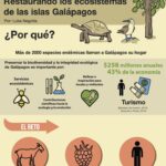 Plantas amenazadas en Ecuador: preservando la biodiversidad