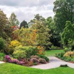 Plantas de exterior de bajo mantenimiento para tu jardín