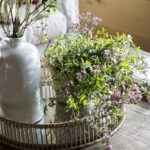 Plantas de interior que adornan con flores hermosas