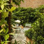Plantas perfectas para crear privacidad en tu jardín