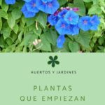 Plantas que comienzan con la letra i