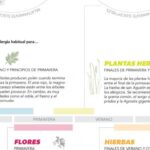 Plantas que provocan alergias y cómo evitarlas