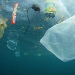Plásticos en el mar: orígenes impactos y alternativas