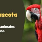Prevención del tráfico ilegal de animales salvajes