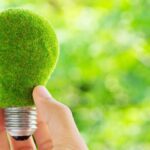 Protocolos ambientales: definición y ejemplos relevantes