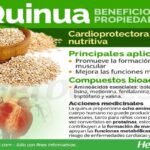 Quinoa: propiedades beneficios y formas de consumo
