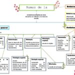 Ramas de la botánica y sus áreas de estudio