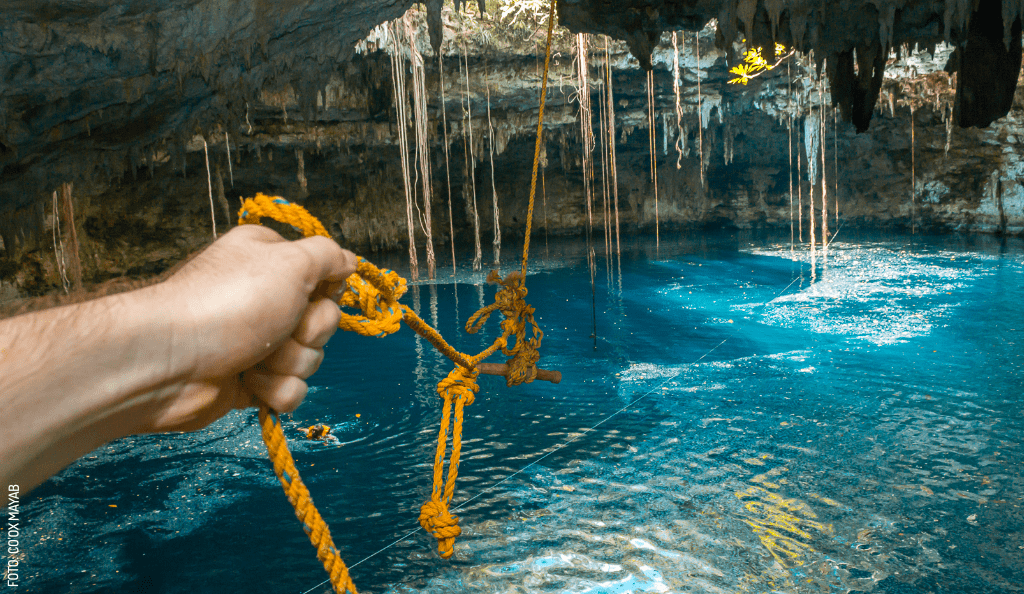 Riquezas naturales de Yucatán: un patrimonio invaluable