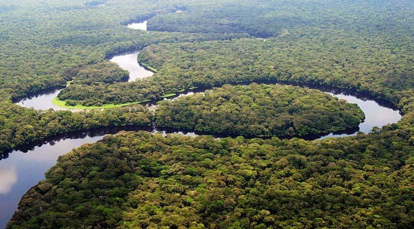 Selva del Congo: biodiversidad ecosistema y maravillas naturales