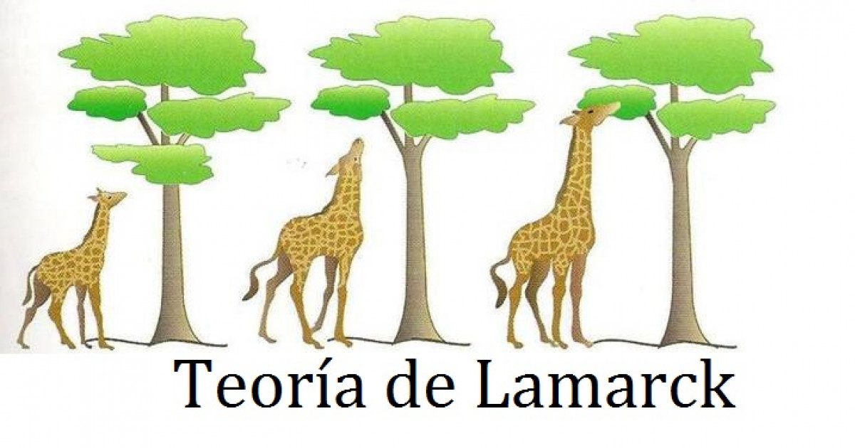 Teoría de Lamarck: conceptos ejemplos y su relevancia