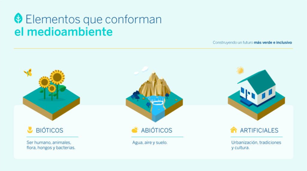 Todo sobre el hábitat y su importancia esencial