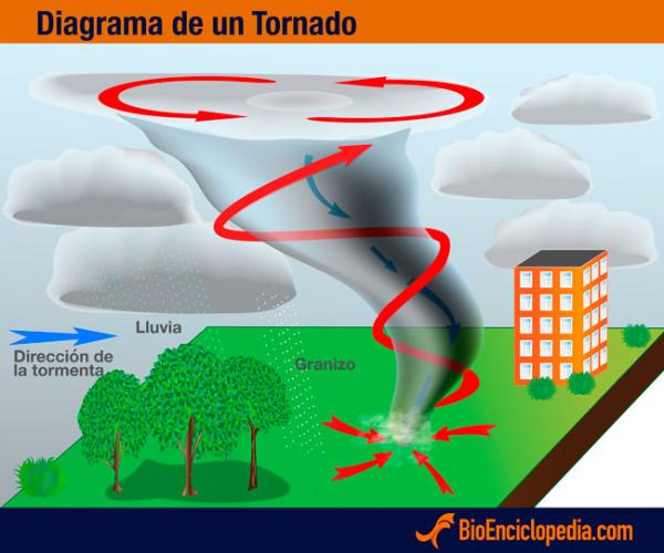 Tornado: definición formación clasificaciones y sus impactos