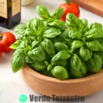 Variedades de albahaca y sus características únicas