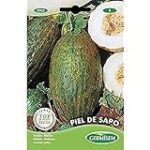Variedades de melones para deleitar tus sentidos