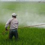 Desafíos ambientales actuales en Costa Rica