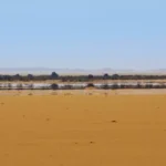 Fata Morgana: efectos causas y ejemplos fascinantes