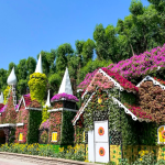 Esplendor floral de la temporada estival