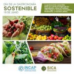 Gastronomía sostenible: conceptos y ventajas para el planeta