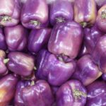 Variedades de pimientos: colores y sabores que sorprenden