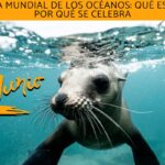 Día Mundial de los Océanos: significado y celebración anual