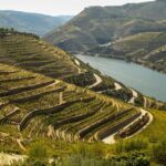 Terraza fluvial: definición proceso de formación y casos
